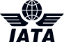 A stylized dark-blue airplane silhouette with extended horizontal wings sits above bold "IATA" lettering, centered on a plain white background.